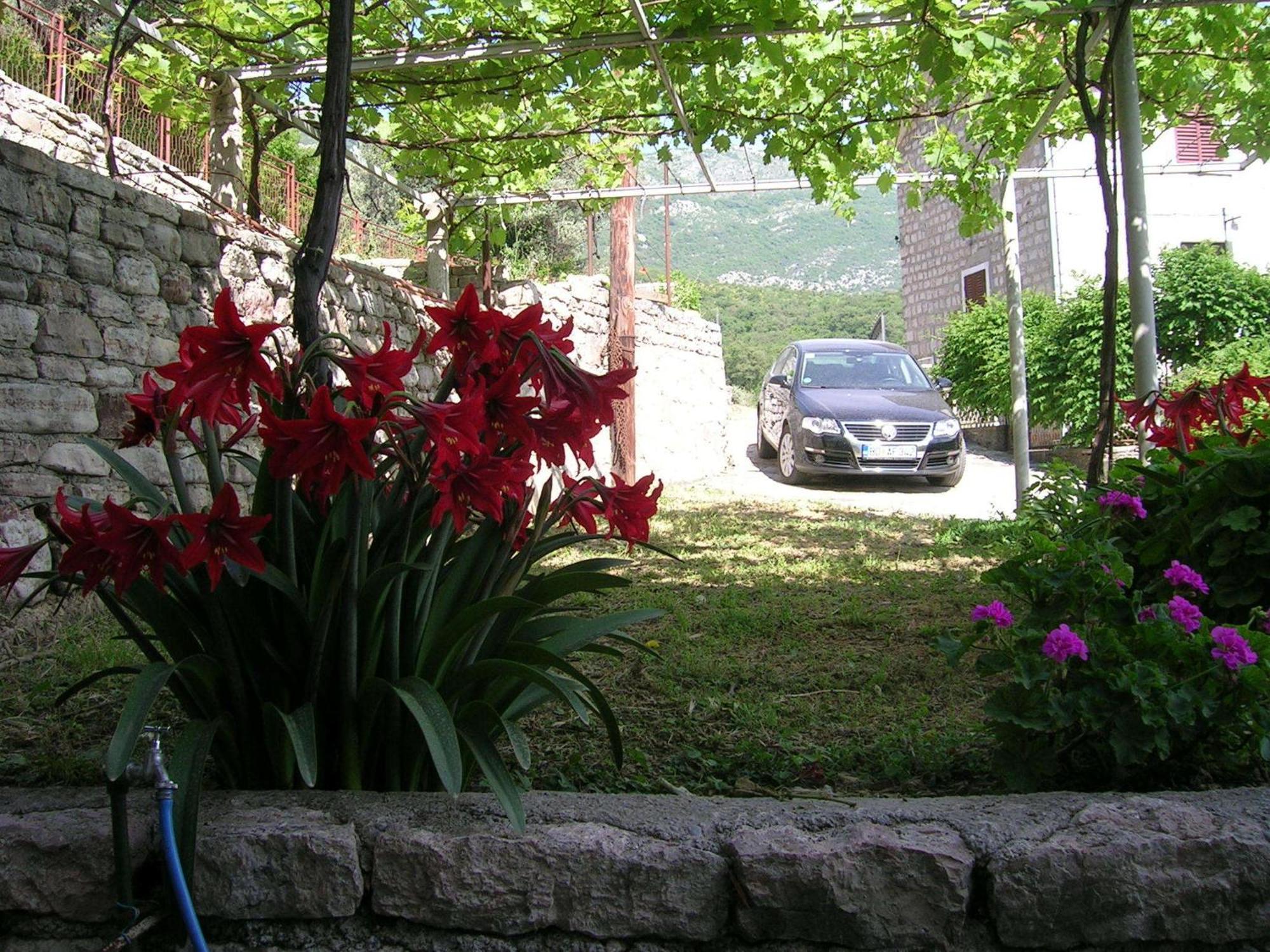 Apartments Midzor Petrovac Exterior foto